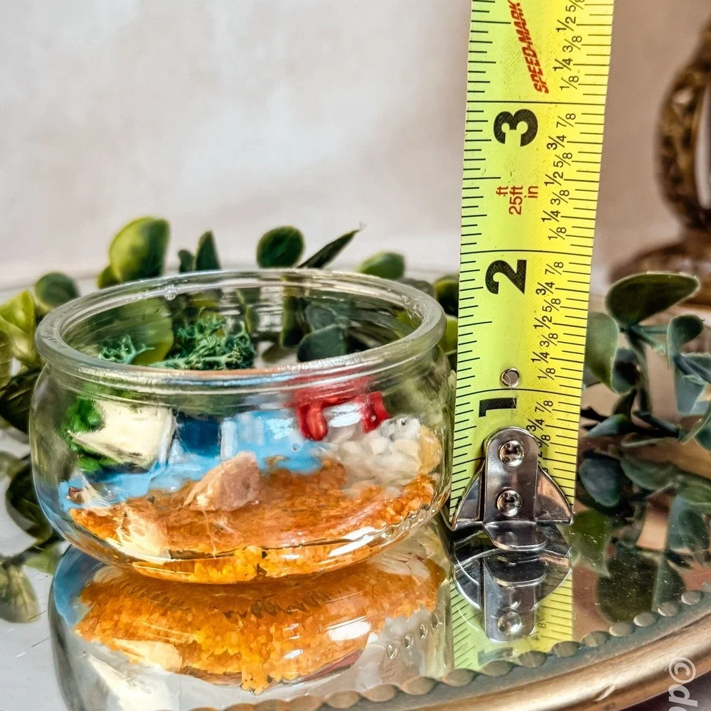 Mini Crab Terrarium